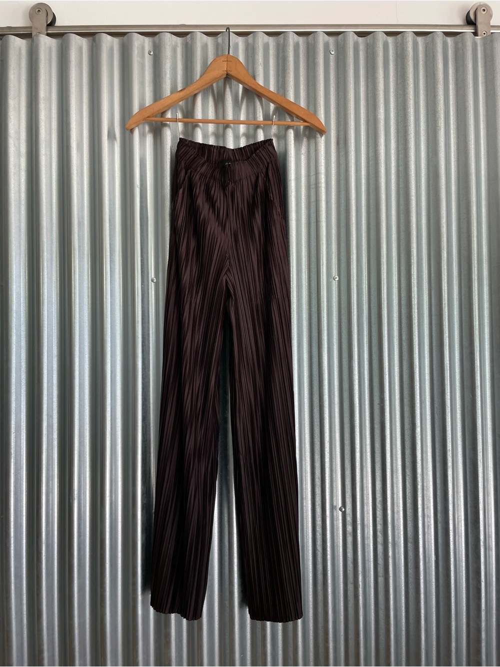 Ruti Women’s Pleated Dress Pants in Dark Brown
